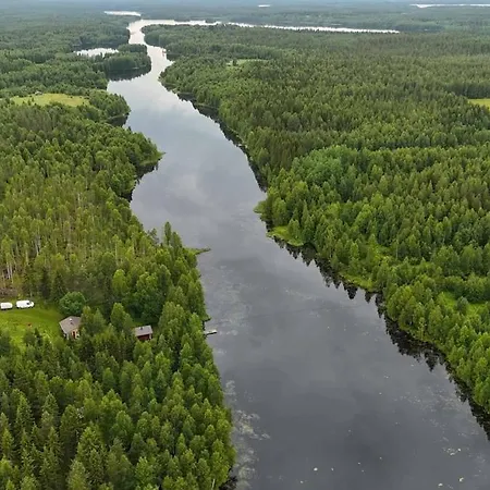 Peacfull In Middle Of Forest