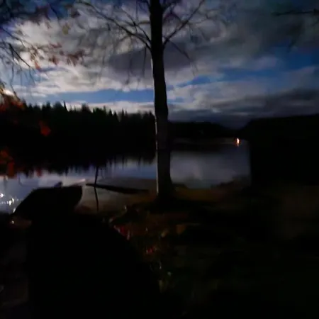 Peacfull In Middle Of Forest